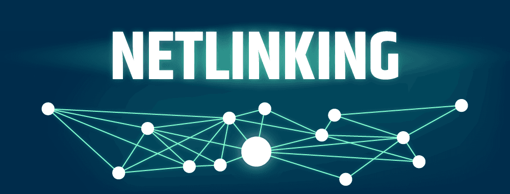 Netlinking (Backlinks) | Reprise du Profil de Liens